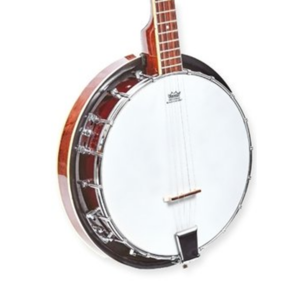 BANJO TENOR PERSIAN - Imagen 3