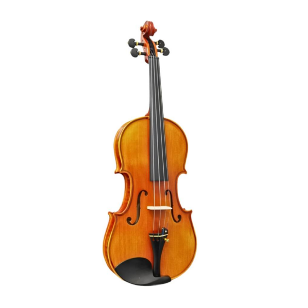 VIOLIN GREKO VM119M 4/4